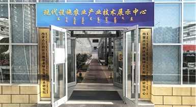 自治區(qū)綠色優(yōu)質果蔬展銷中心