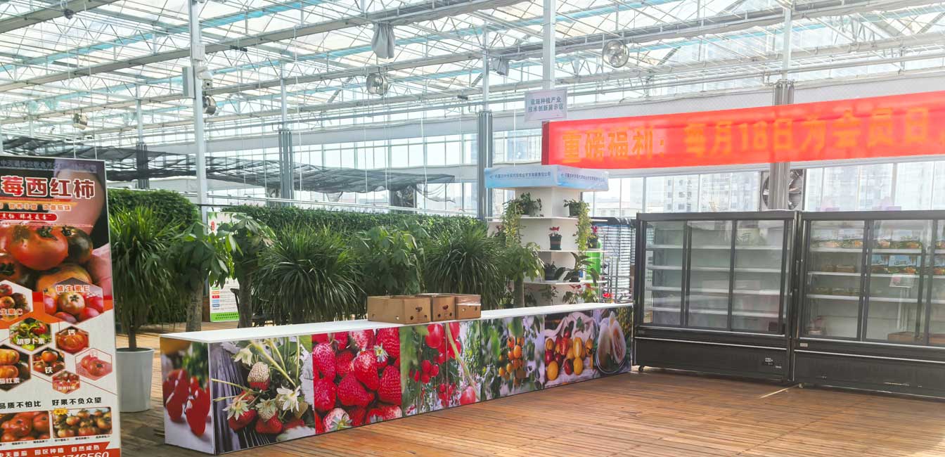 自治區(qū)綠色優(yōu)質(zhì)果蔬展銷中心psd-恢復(fù)的_12.jpg 自治區(qū)綠色優(yōu)質(zhì)果蔬展銷中心psd-恢復(fù)的_12.jpg