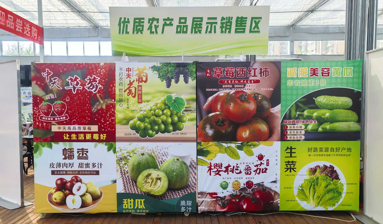 自治區(qū)綠色優(yōu)質(zhì)果蔬展銷中心psd-恢復(fù)的_15.jpg 自治區(qū)綠色優(yōu)質(zhì)果蔬展銷中心psd-恢復(fù)的_15.jpg