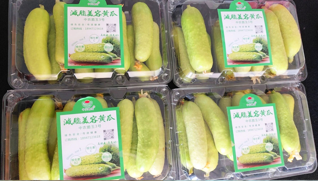 自治區(qū)綠色優(yōu)質(zhì)果蔬展銷中心psd-恢復(fù)的_18.jpg 自治區(qū)綠色優(yōu)質(zhì)果蔬展銷中心psd-恢復(fù)的_18.jpg