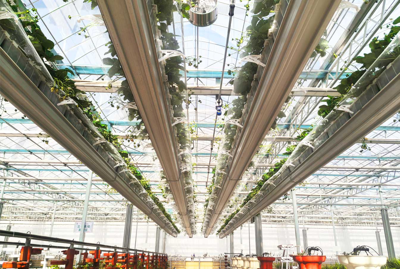 自治區(qū)綠色優(yōu)質(zhì)果蔬展銷中心psd-恢復(fù)的_28.jpg 自治區(qū)綠色優(yōu)質(zhì)果蔬展銷中心psd-恢復(fù)的_28.jpg